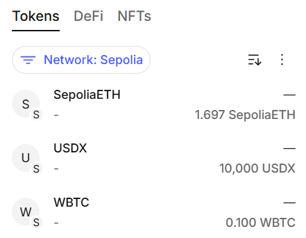 MetaMask Tokens tab on Sepolia showing SepoliaETH, USDX, and WBTC after importing the contract addresses